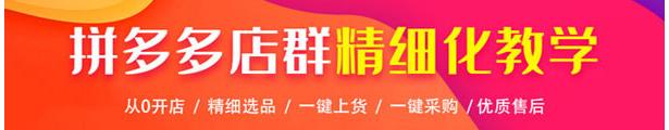 拼多多采集软件开阳采集,实时数据,采集评论和正在拼（文件夹里的顺序怎么手动排列）怎么可以错过，