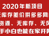 2022新手怎么有效的运营拼多多无货源店群_果橙电商（文件夹 英文）原创，